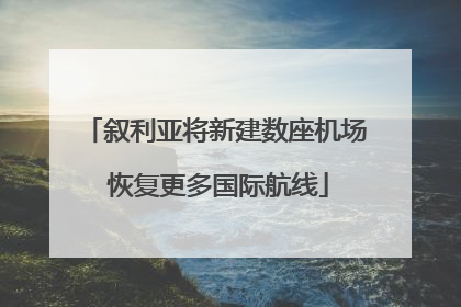 叙利亚将新建数座机场 恢复更多国际航线