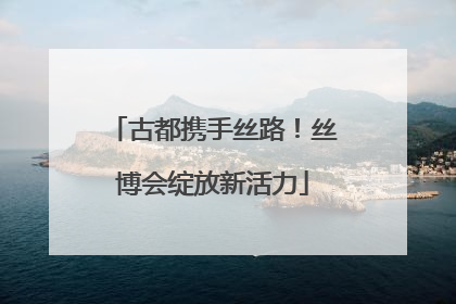 古都携手丝路！丝博会绽放新活力