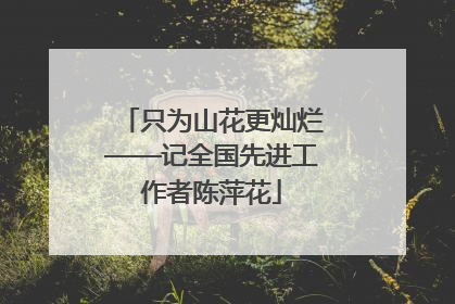 只为山花更灿烂——记全国先进工作者陈萍花