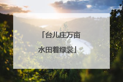 台儿庄万亩水田着绿裳