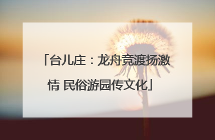 台儿庄：龙舟竞渡扬激情 民俗游园传文化