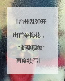 台州乱弹开出首朵梅花，“浙婺现象”再度续写