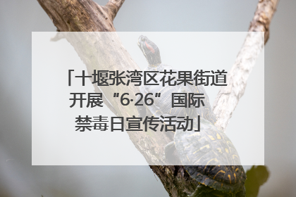 十堰张湾区花果街道开展“6·26”国际禁毒日宣传活动