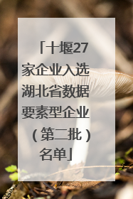 十堰27家企业入选湖北省数据要素型企业（第二批）名单