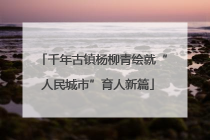 千年古镇杨柳青绘就“人民城市”育人新篇