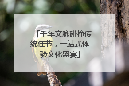 千年文脉碰撞传统佳节，一站式体验文化盛宴