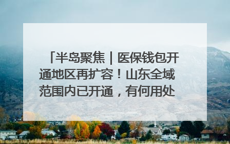 半岛聚焦｜医保钱包开通地区再扩容！山东全域范围内已开通，有何用处？如何操作？速戳→