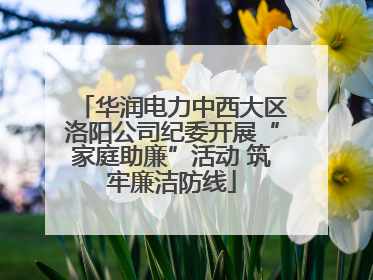 华润电力中西大区洛阳公司纪委开展“家庭助廉”活动 筑牢廉洁防线