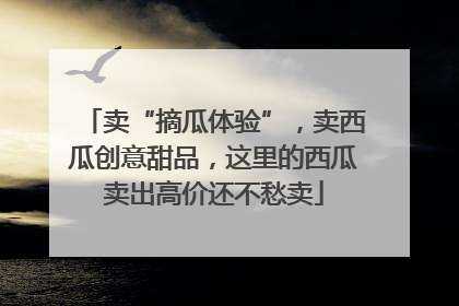 卖“摘瓜体验”，卖西瓜创意甜品，这里的西瓜卖出高价还不愁卖