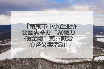 南京市中小企业协会圆满举办“聚微力·暖金陵”慈善献爱心暨义卖活动