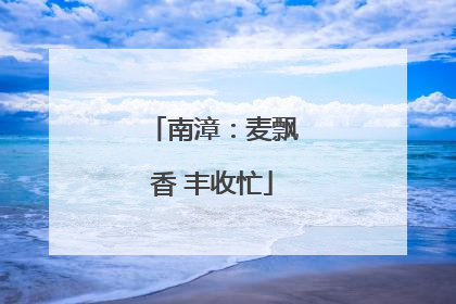 南漳：麦飘香 丰收忙