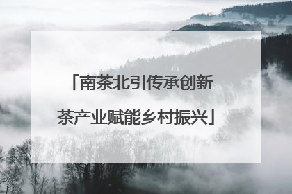 南茶北引传承创新 茶产业赋能乡村振兴