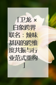 卫龙 × 白象跨界联名：辣味基因的跨维度共振与行业范式重构
