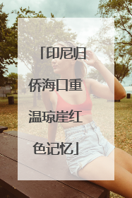 印尼归侨海口重温琼崖红色记忆