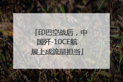 印巴空战后，中国歼-10CE航展上成流量担当