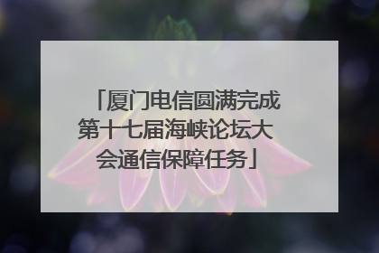 厦门电信圆满完成第十七届海峡论坛大会通信保障任务