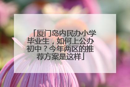 厦门岛内民办小学毕业生，如何上公办初中？今年两区的推荐方案是这样
