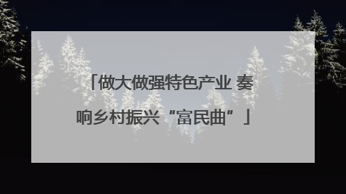 做大做强特色产业 奏响乡村振兴“富民曲”