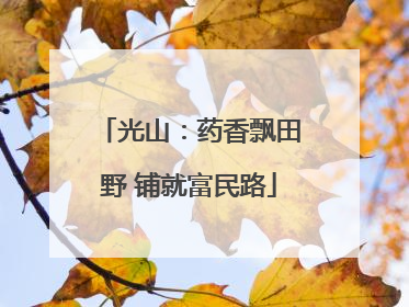 光山：药香飘田野 铺就富民路