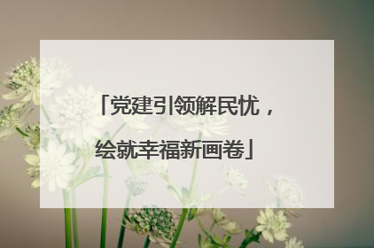 党建引领解民忧，绘就幸福新画卷