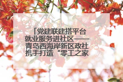 党建联建搭平台 就业服务进社区——青岛西海岸新区政社携手打造“零工之家”就业服务新阵地