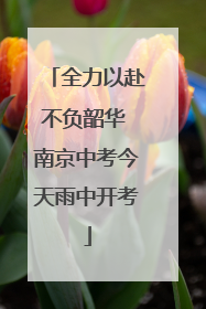 全力以赴不负韶华 南京中考今天雨中开考