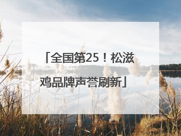 全国第25！松滋鸡品牌声誉刷新