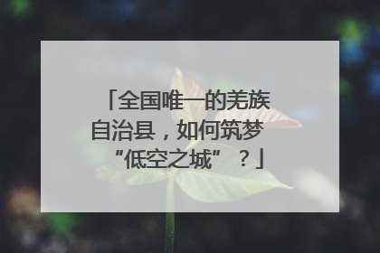 全国唯一的羌族自治县，如何筑梦“低空之城”？