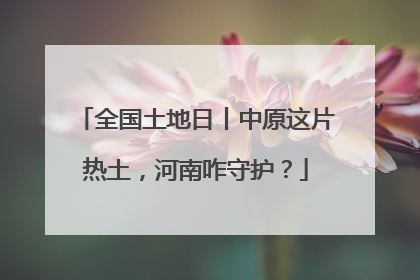 全国土地日丨中原这片热土，河南咋守护？