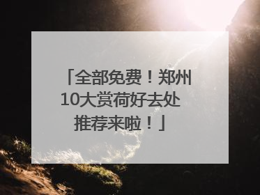 全部免费！郑州10大赏荷好去处推荐来啦！