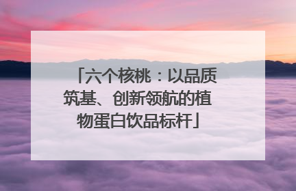 六个核桃：以品质筑基、创新领航的植物蛋白饮品标杆