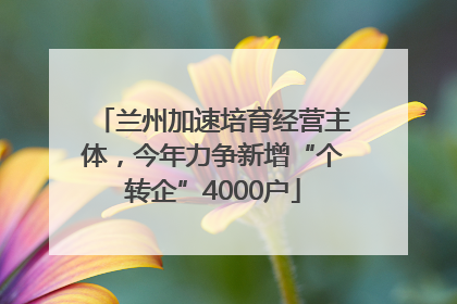 兰州加速培育经营主体，今年力争新增“个转企”4000户