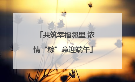 共筑幸福邻里 浓情“粽”意迎端午