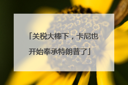 关税大棒下，卡尼也开始奉承特朗普了