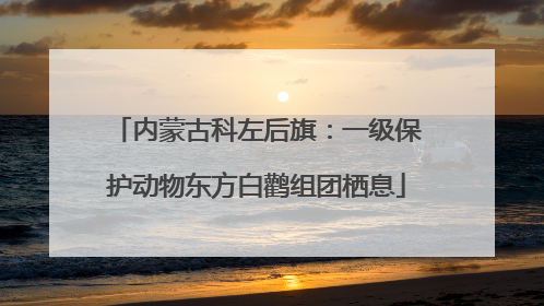 内蒙古科左后旗：一级保护动物东方白鹳组团栖息