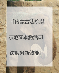 内蒙古法院以示范文本激活司法服务新效能
