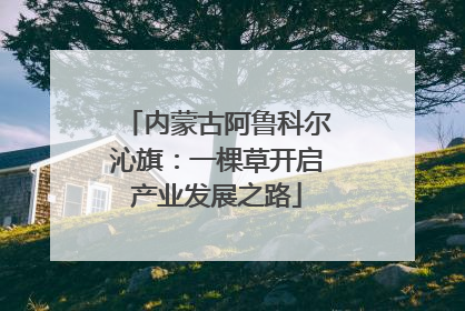 内蒙古阿鲁科尔沁旗：一棵草开启产业发展之路