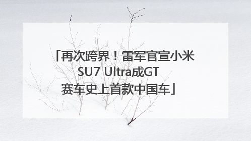 再次跨界！雷军官宣小米SU7 Ultra成GT赛车史上首款中国车