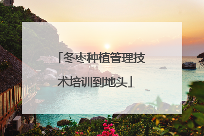 冬枣种植管理技术培训到地头