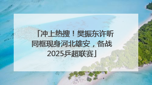 冲上热搜！樊振东许昕同框现身河北雄安，备战2025乒超联赛