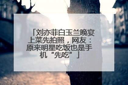 刘亦菲白玉兰晚宴上菜先拍照，网友：原来明星吃饭也是手机“先吃”