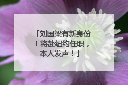 刘国梁有新身份！将赴纽约任职，本人发声！