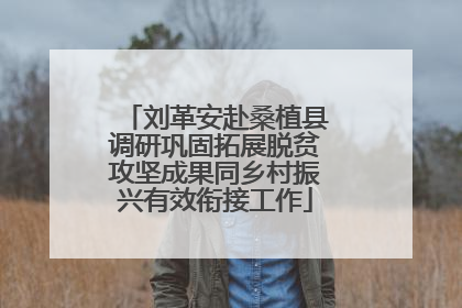 刘革安赴桑植县调研巩固拓展脱贫攻坚成果同乡村振兴有效衔接工作
