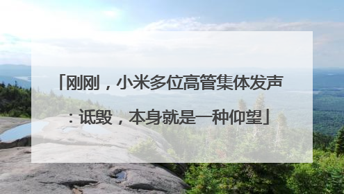 刚刚，小米多位高管集体发声：诋毁，本身就是一种仰望