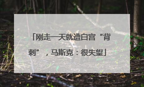 刚走一天就遭白宫“背刺”，马斯克：很失望