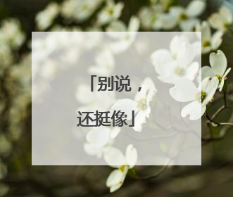 别说，还挺像