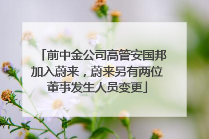 前中金公司高管安国邦加入蔚来，蔚来另有两位董事发生人员变更