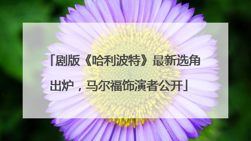剧版《哈利波特》最新选角出炉，马尔福饰演者公开