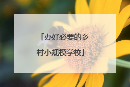 办好必要的乡村小规模学校