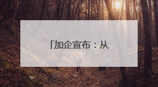 加企宣布：从中国采购4艘